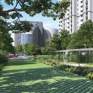 Green-landscape-scapes